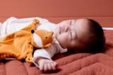 Baby comforter - Mr. Fox