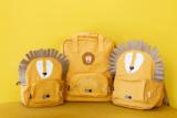 Backpack small - Mr. Lion 