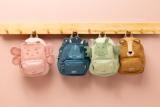 Backpack - Mr. Dragon 