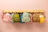 Backpack - Mr. Dragon 
