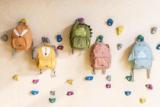 Rucksack - Mr. Dino