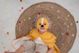 Cape and mask - Mr. Lion