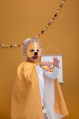 Cape and mask - Mr. Lion