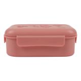 Fiambrera con clips - Fruit fairy Mrs. Butterfly 