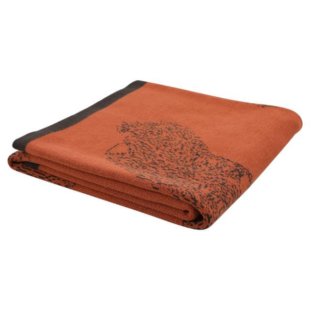 Knitted blanket - Brave Bear