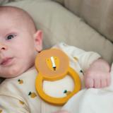 Natural rubber round teether - Mr. Lion