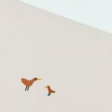 Cot sheet | 110x140cm - Babbling Birds