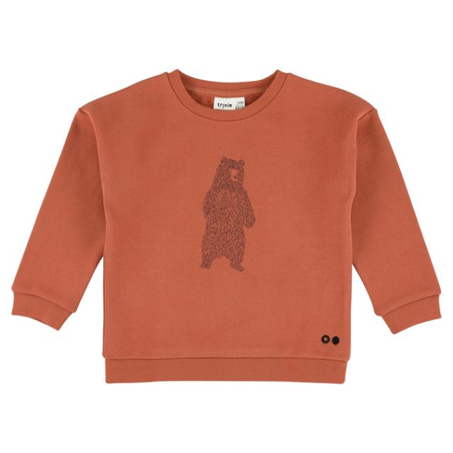 Sweatshirt - Brave Bear