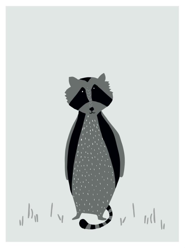 Poster - Mr. Raccoon