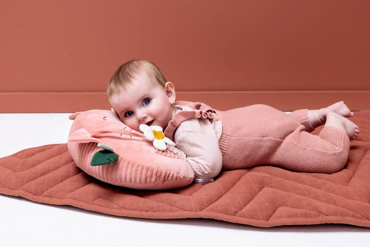 Trixie tummy time pillow organic materials features