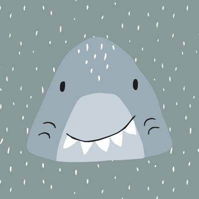 Mr. Shark