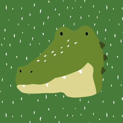 Mr. Alligator