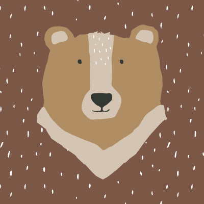 Mr. Bear