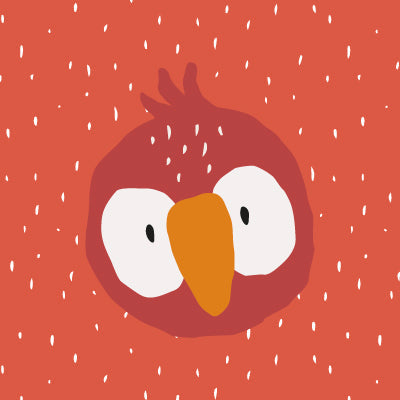 Mr. Parrot