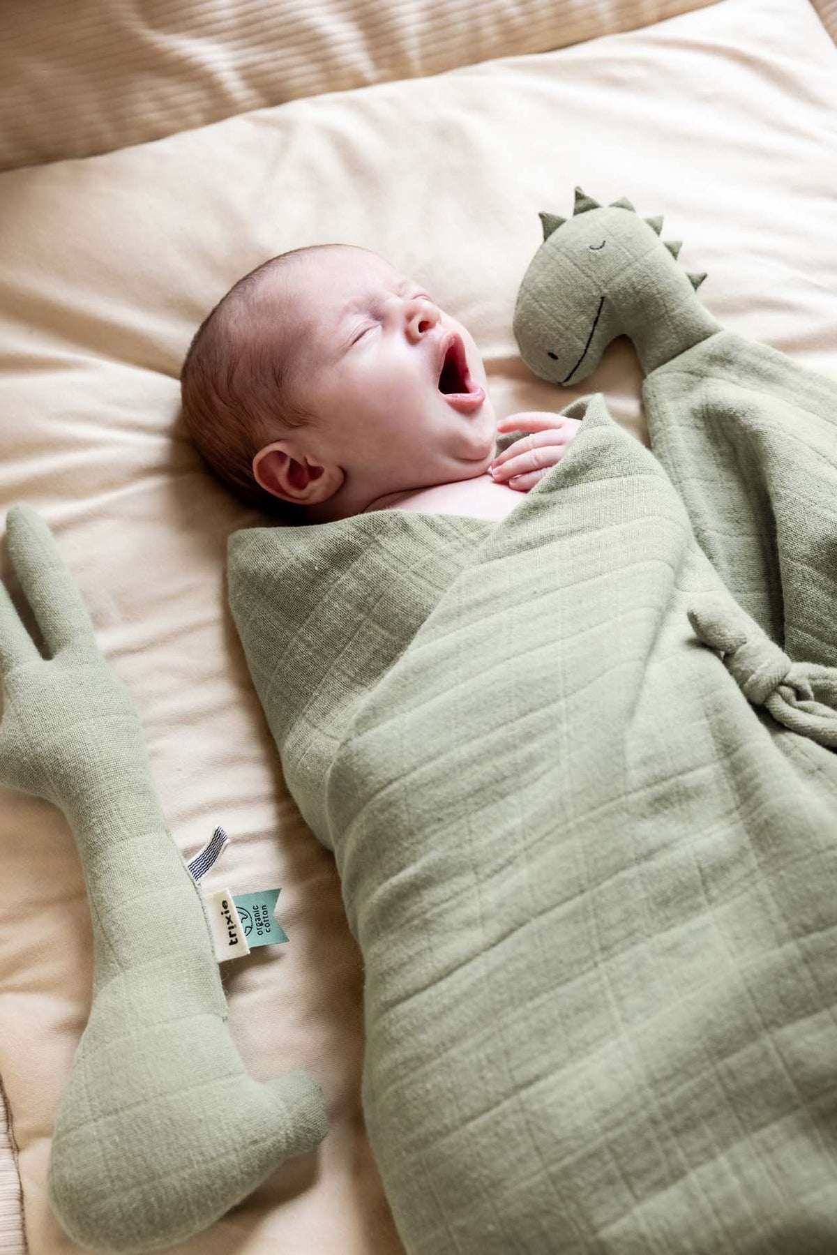 welcome, newborn
