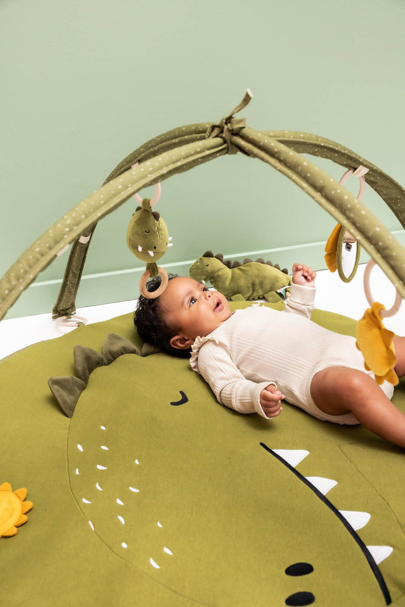 Trixie activity play mat Mr. Dino