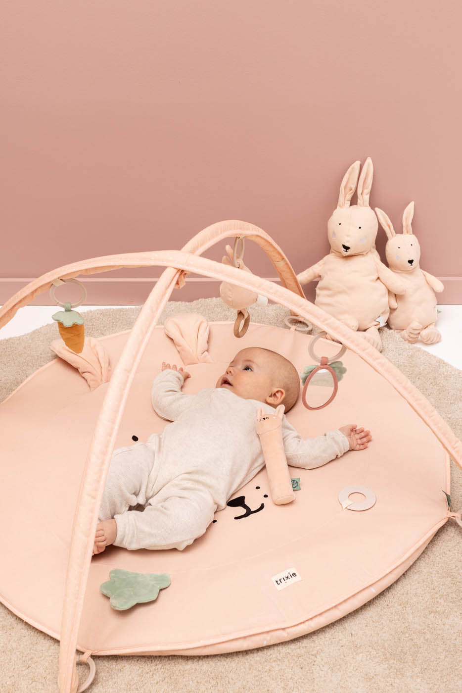 Knijprammelaar  - Mrs. Rabbit