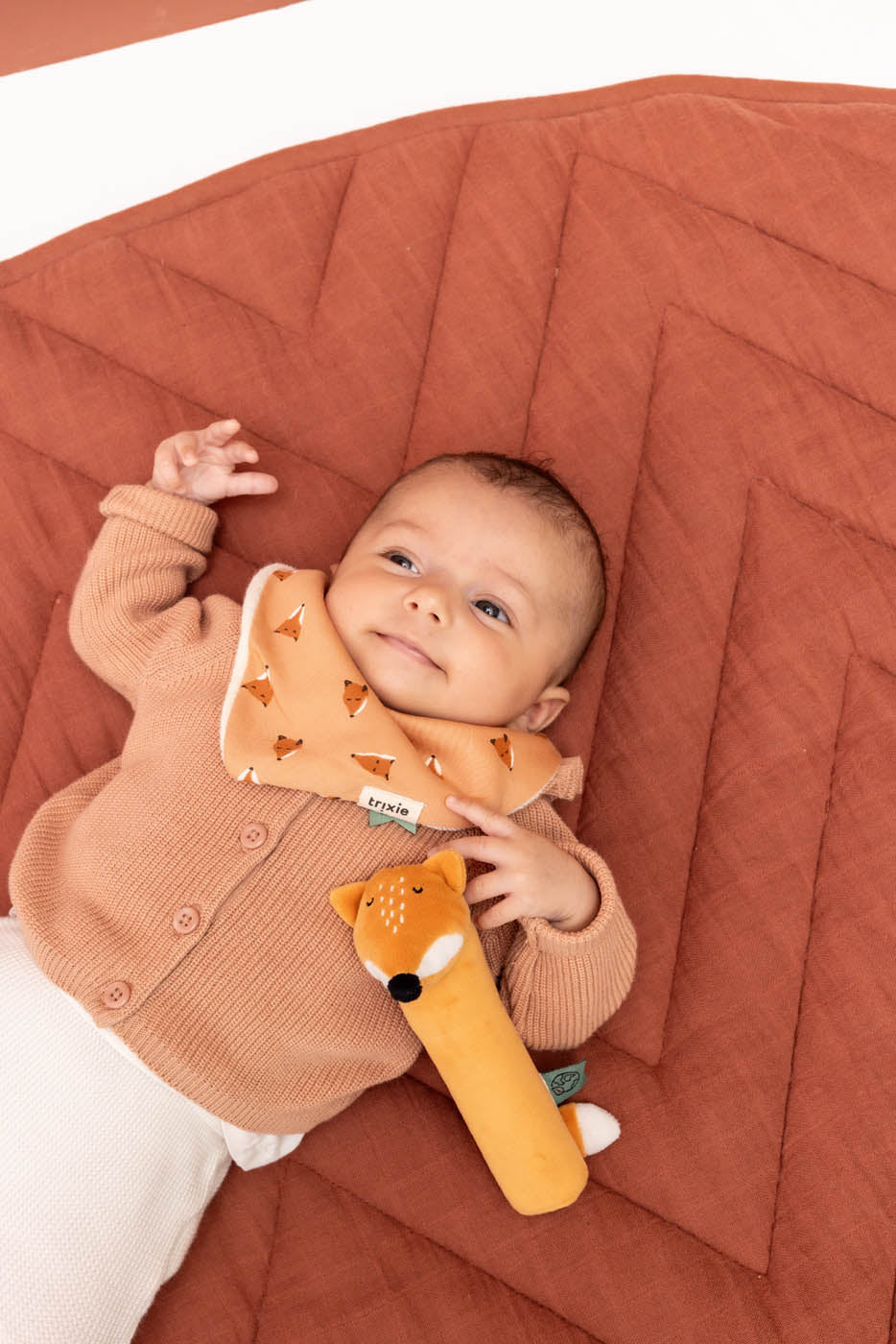 Trixie rattle Mr. Fox 