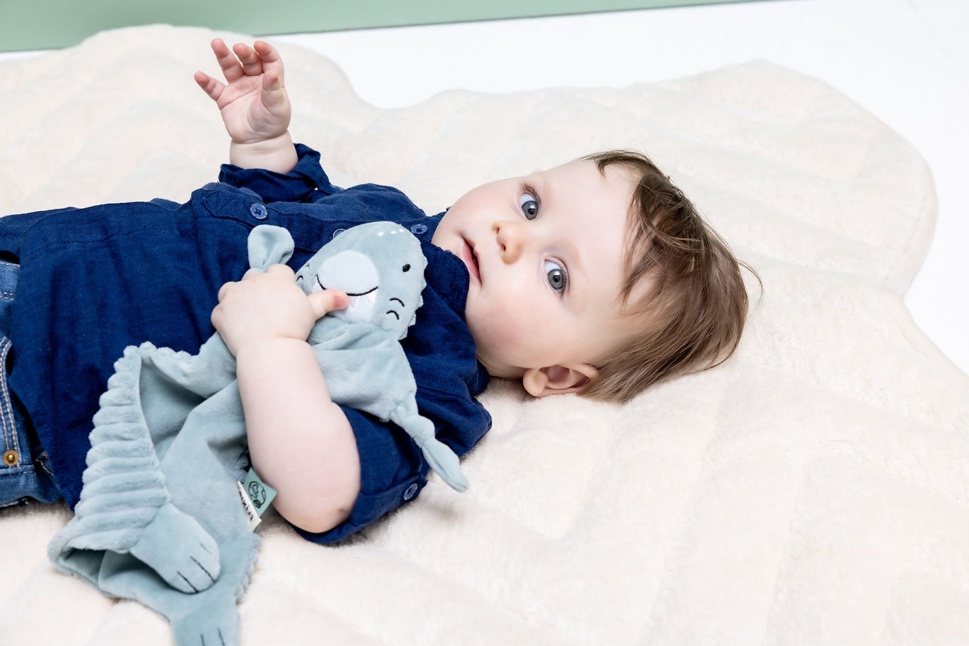 Trixie Mr. Shark comforter