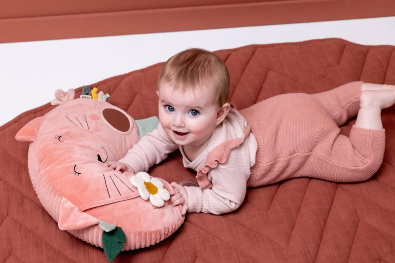 Trixie tummy time pillow Mrs. Cat