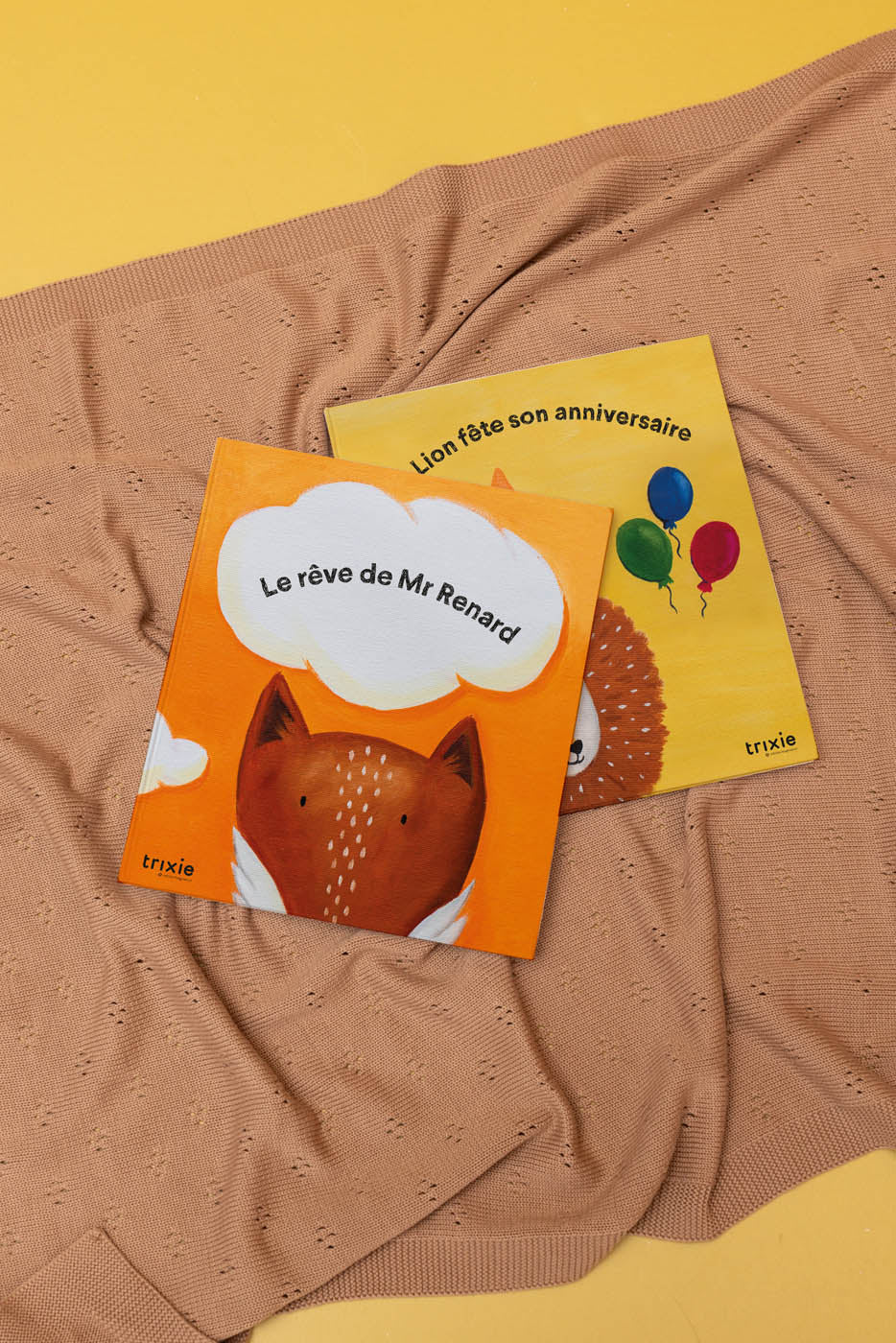 Storybook - Celebrating Lion's birthday FR