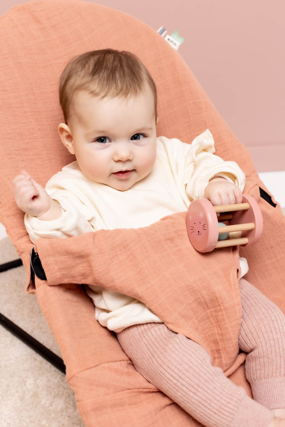 Trixie babybjorn bouncer cover 