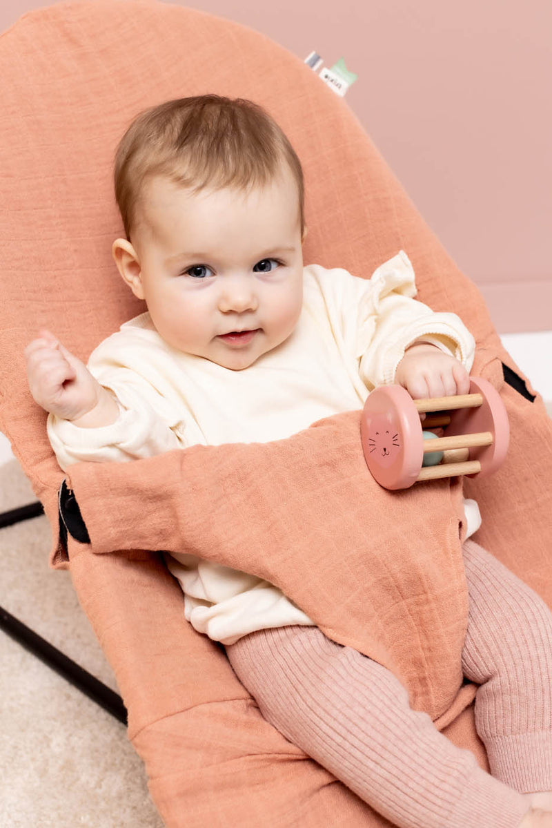 Trixie babybjorn bouncer cover 
