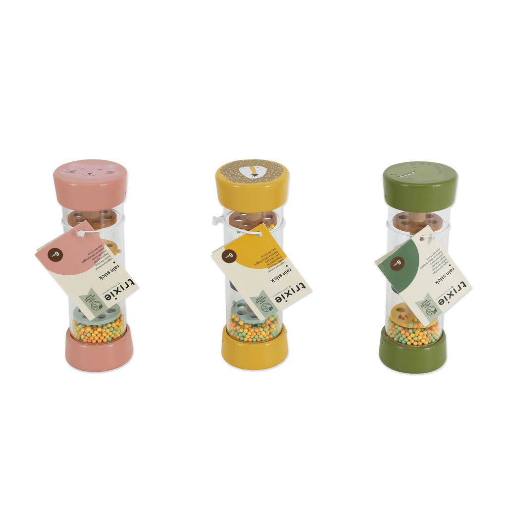 Wooden rain stick box - 9pcs