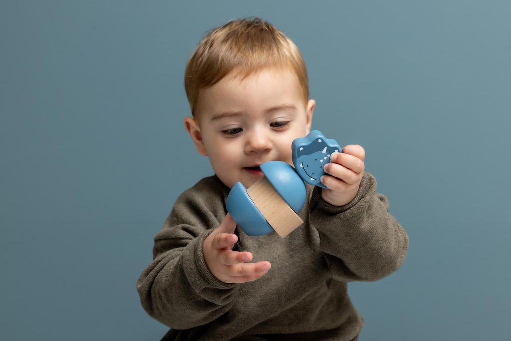 Wooden rattle stacker - Mr. Triceratops