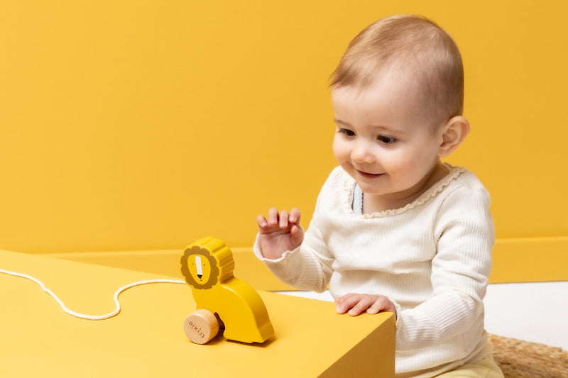 Wooden small pull along toy - Mr. Lion