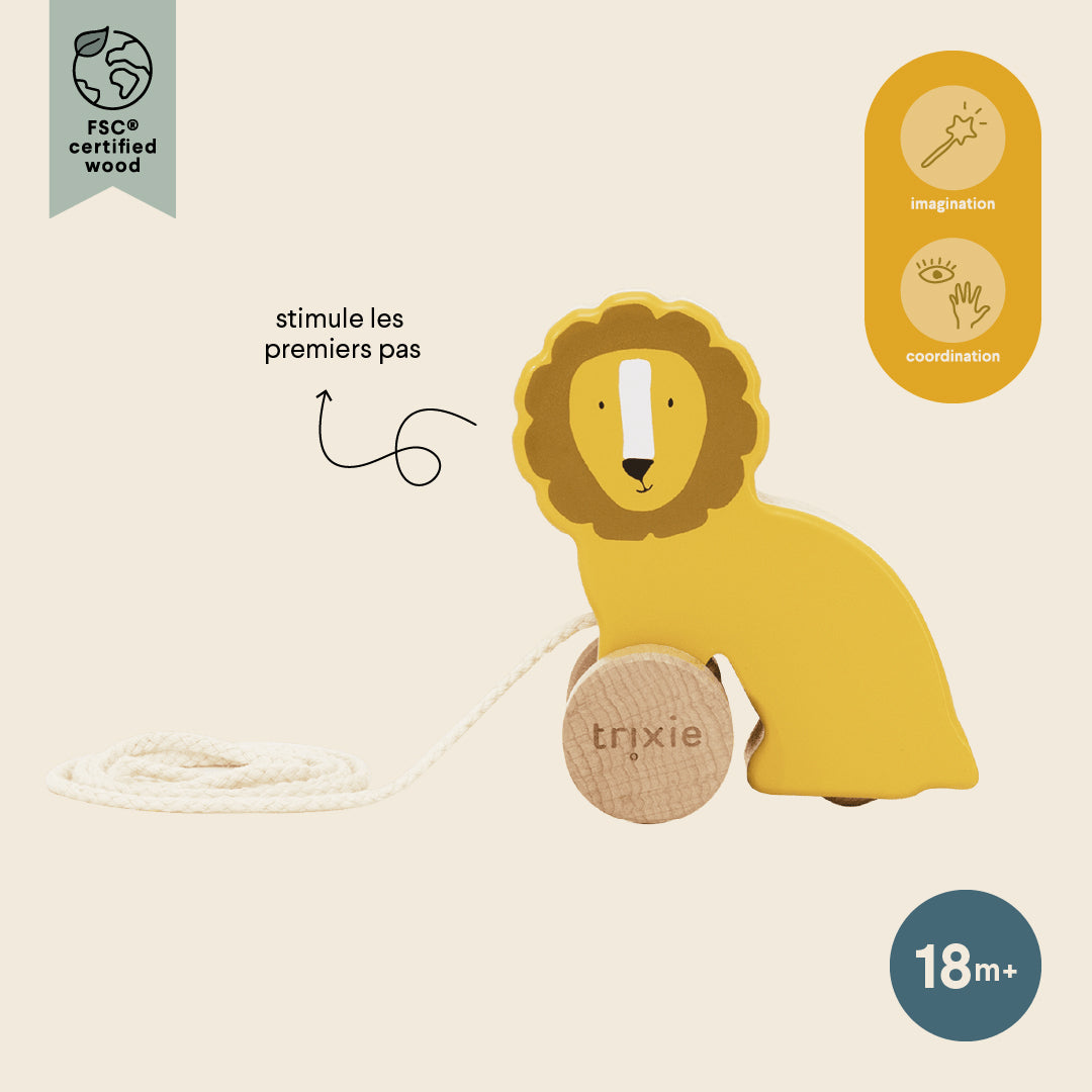 Wooden small pull along toy - Mr. Lion