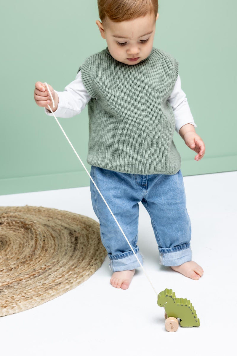 Wooden small pull along toy - Mr. Dino
