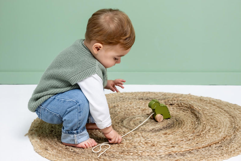 Wooden small pull along toy - Mr. Dino