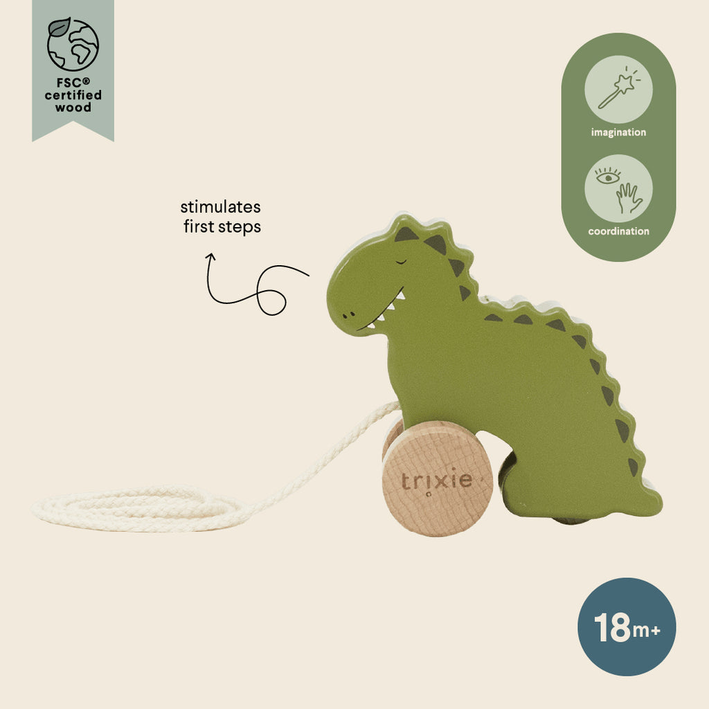Wooden small pull along toy - Mr. Dino