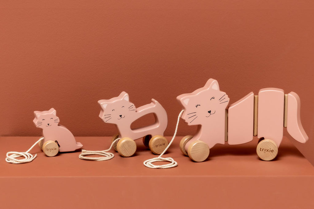 Wooden wiggle pull along toy - Mrs. Cat