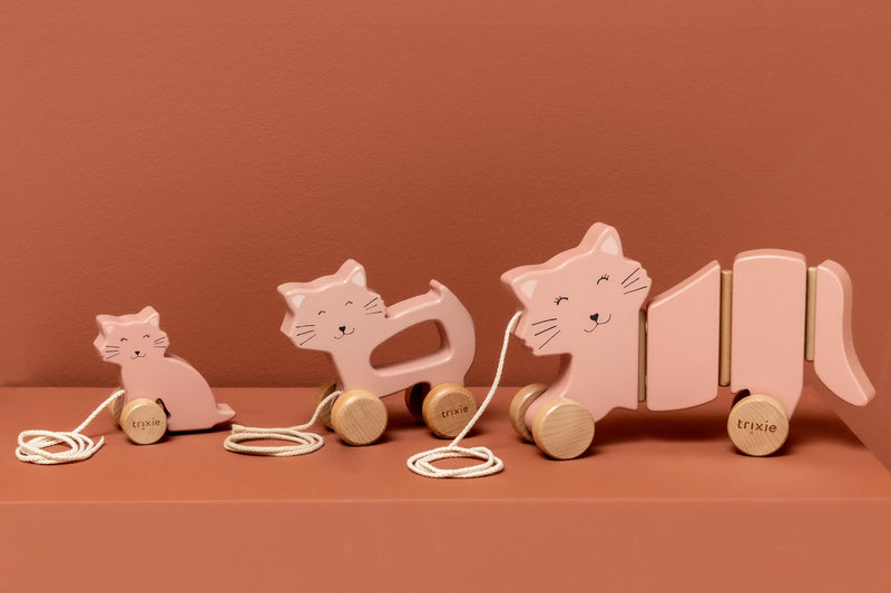 Wooden wiggle pull along toy - Mrs. Cat