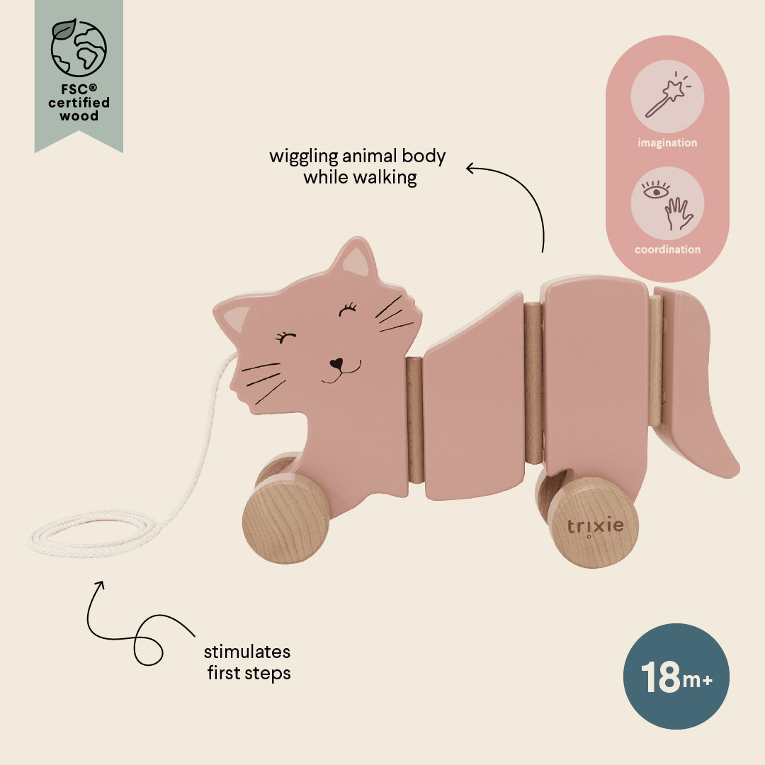 Wooden wiggle pull along toy - Mrs. Cat