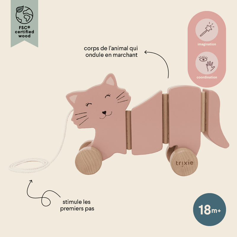Wooden wiggle pull along toy - Mrs. Cat