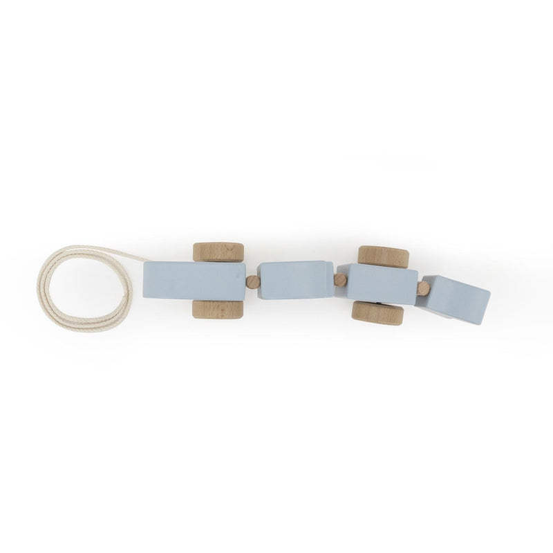 Wooden wiggle pull along toy - Mr. Shark