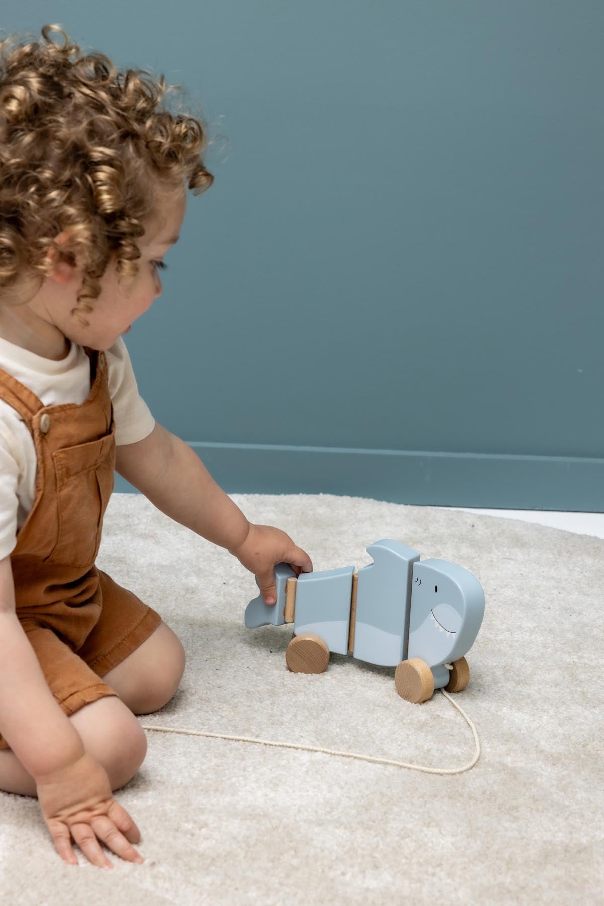 Wooden wiggle pull along toy - Mr. Shark