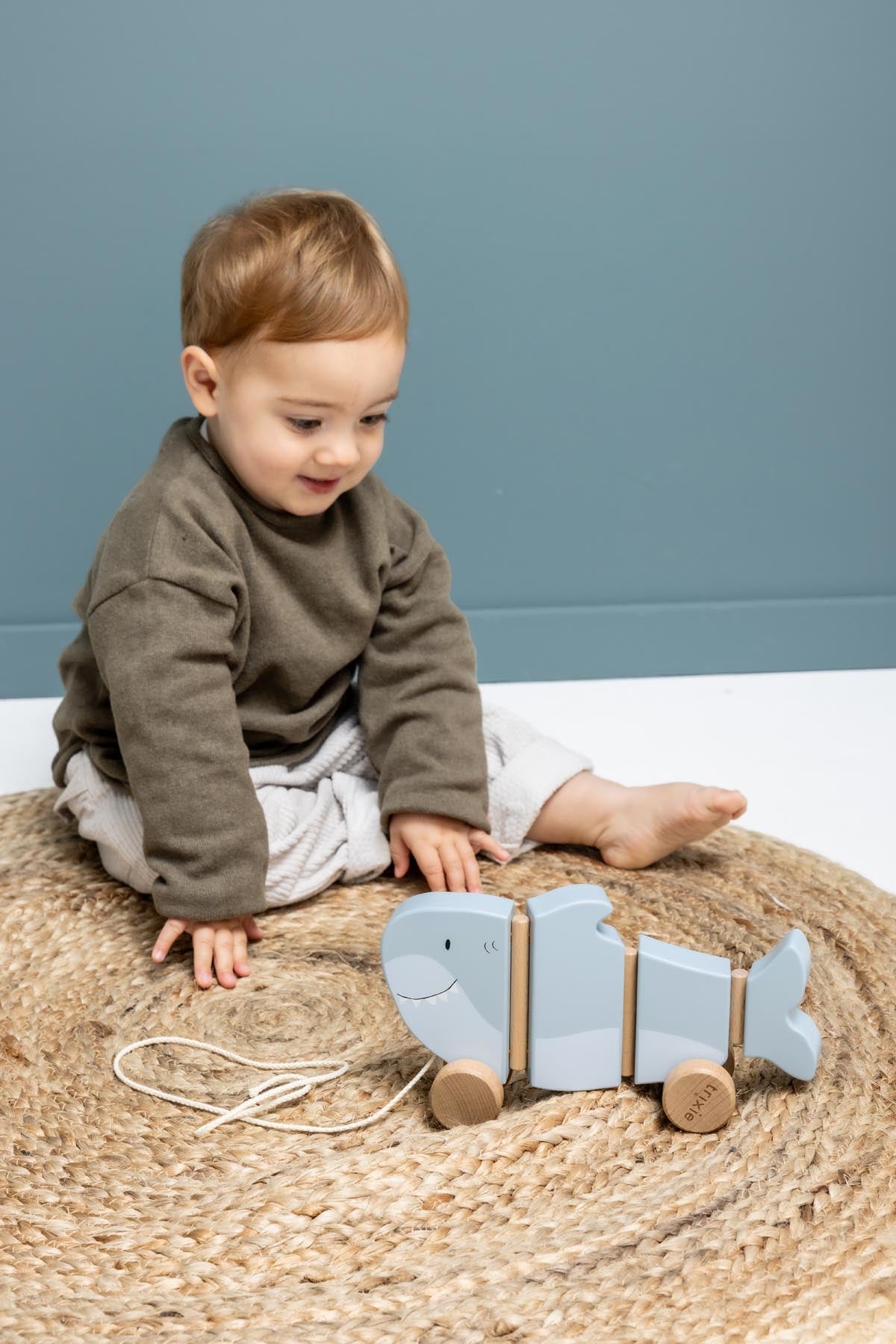 Wooden wiggle pull along toy - Mr. Shark