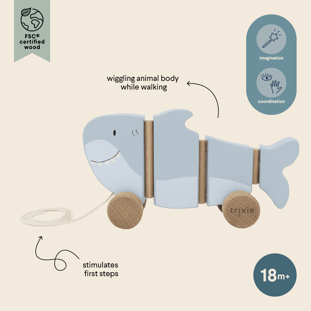 Wooden wiggle pull along toy - Mr. Shark