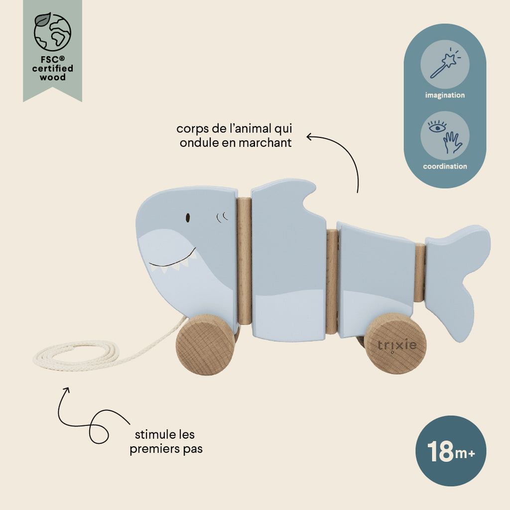 Wooden wiggle pull along toy - Mr. Shark