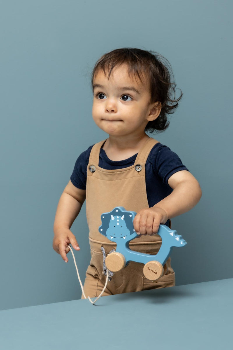 Wooden pull along toy - Mr. Triceratops