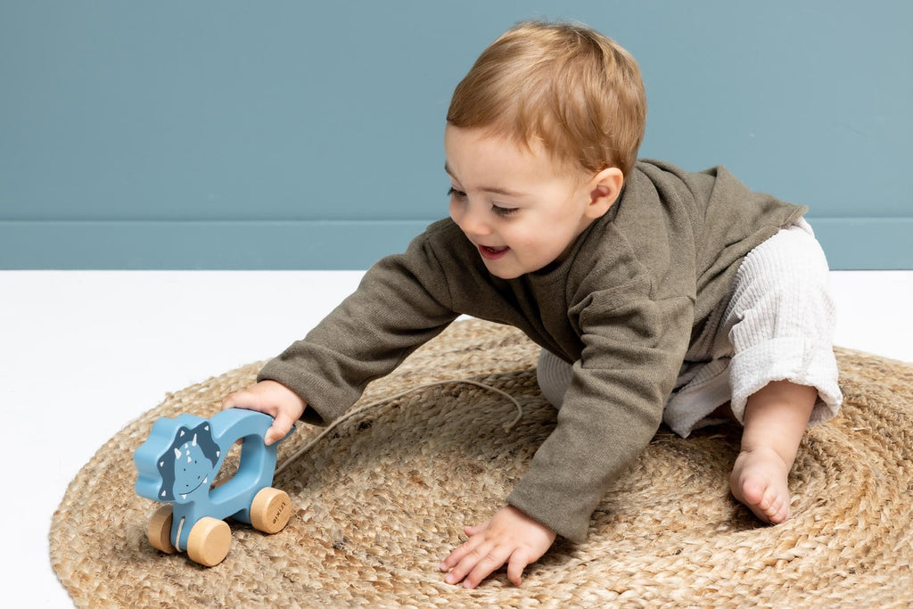 Wooden pull along toy - Mr. Triceratops
