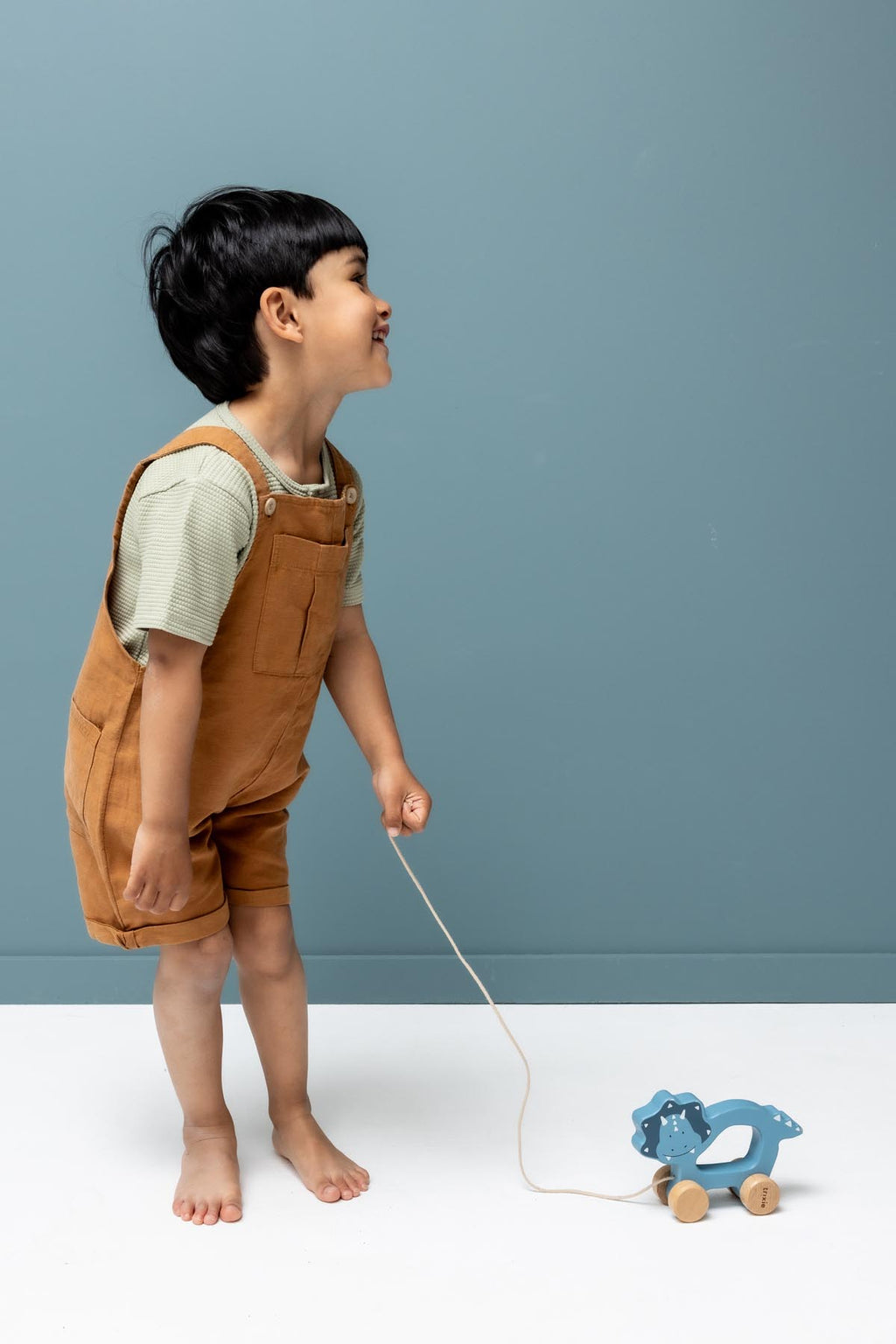 Wooden pull along toy - Mr. Triceratops