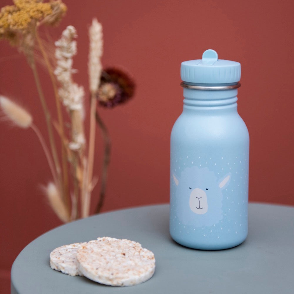 Bottle 350ml - Mr. Alpaca