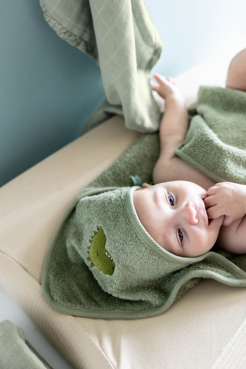 Trixie bath time essentials Mr. Dino