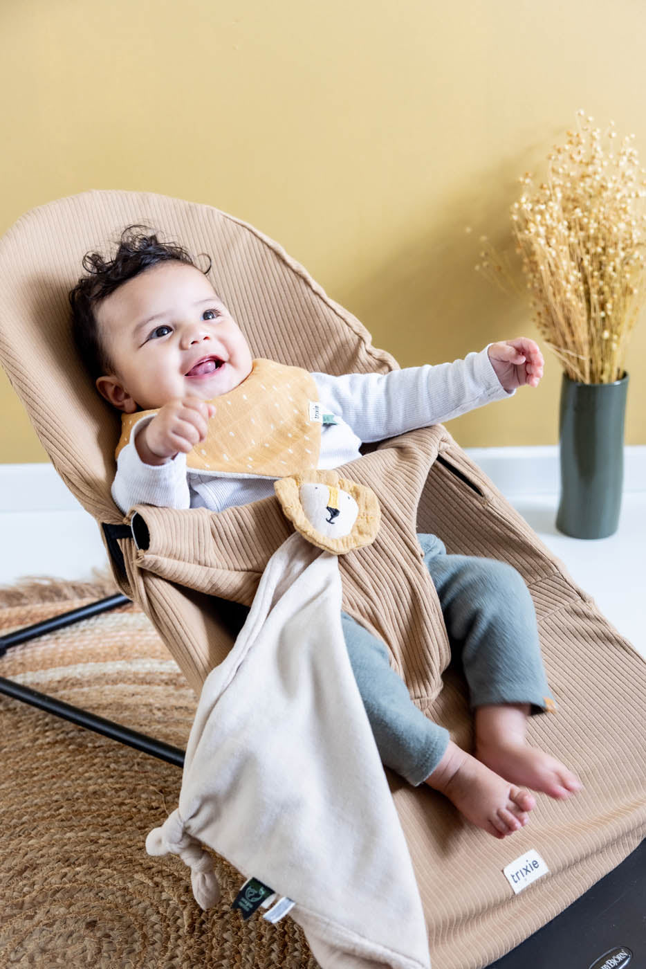 Trixie babybjorn bouncer cover Mr. Lion