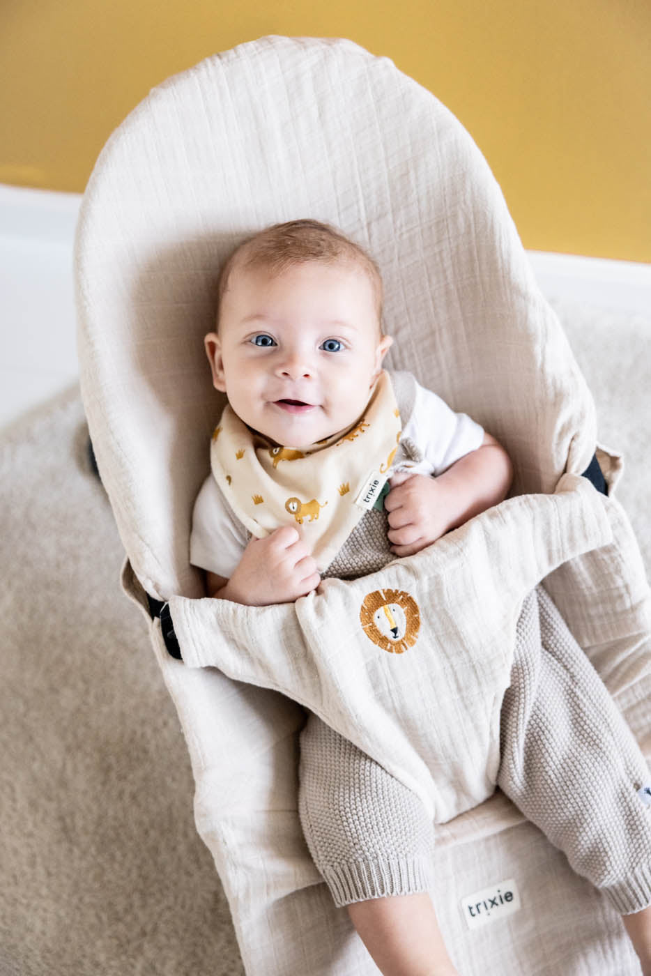 Trixie babybjorn bouncer cover Mr. Lion